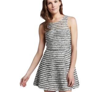 Parker black and white A line mini dress with sheer stripes